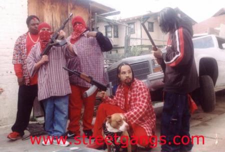 dangerious gang